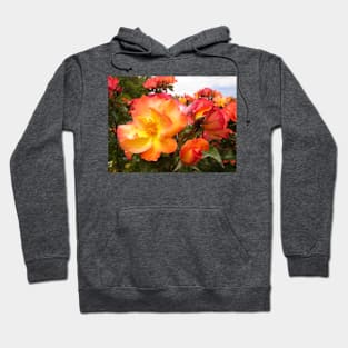 Red Yellow Orange Roses Hoodie